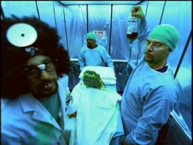 Cypress Hill Dr. Greenthumb